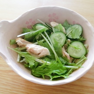 鶏肉と水菜ときゅうりの中華サラダ